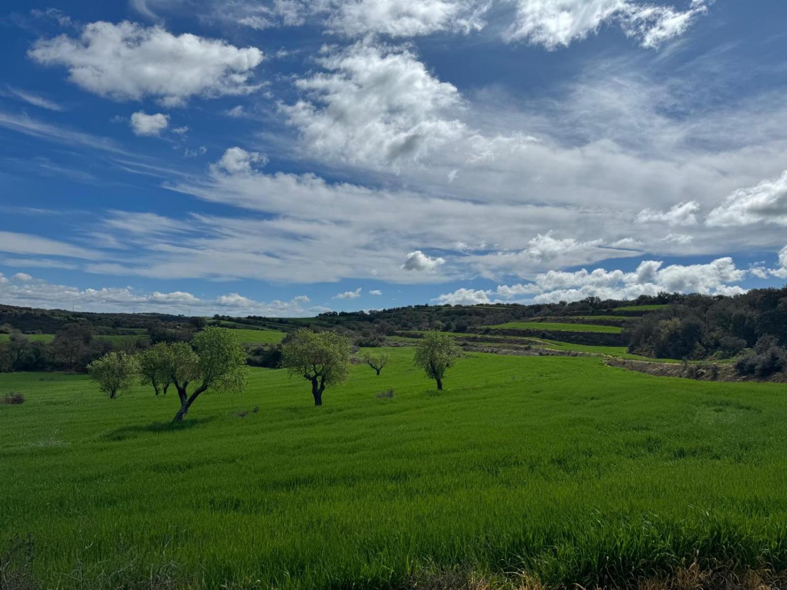 Masia De Queralt Luxury Casa Rural Spa Y Vistas Concabella Exteriér fotografie